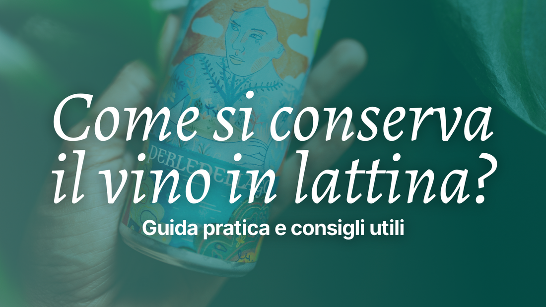 Come si conserva il vino in lattina? Guida pratica e consigli utili
