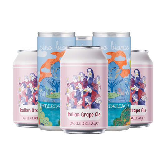 BOX DEGUSTAZIONE "Beer & Wine"